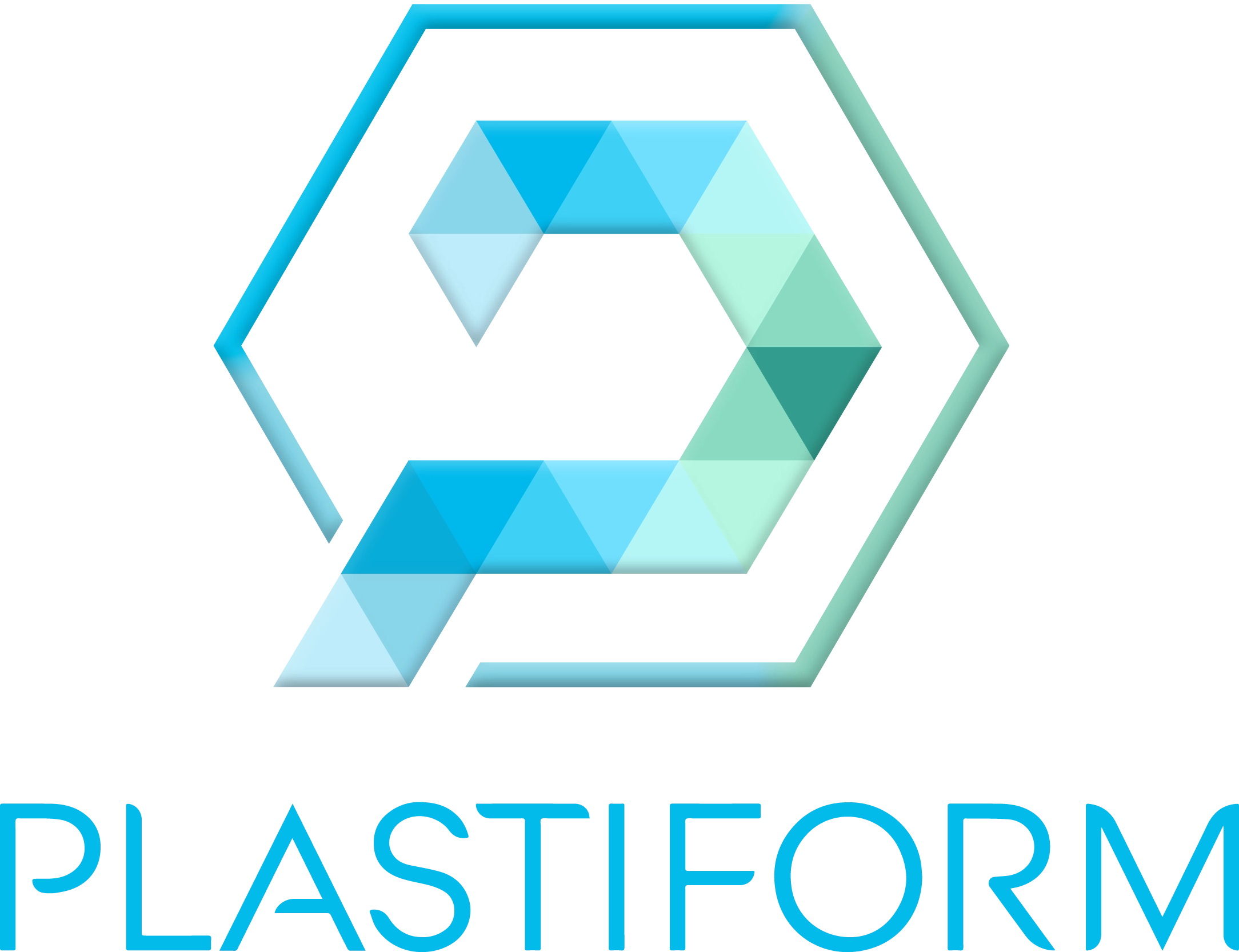 PLASTIFORM