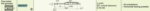 Stylet L=22 mm L1=1,7 mm – pointe 2 µm 60° (DM43812) – Image 2